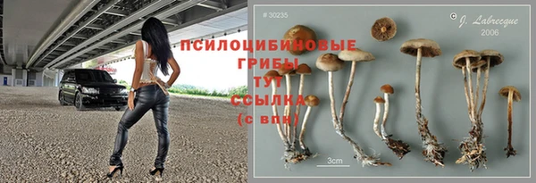 гашиш Аркадак